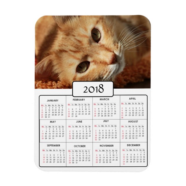 Personalisiertes Cat Foto 2018 Kalenderzeitschrift Magnet (Vertikal)