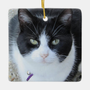 Personalisiertes Cat-Foto mit Name & Jahr Keramikornament