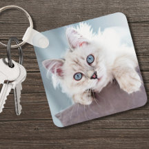 Personalisiertes Cat Lover Pet Foto