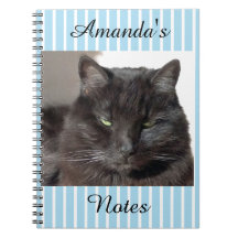 Personalisiertes Chat-Notebook