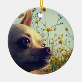 Personalisiertes Chihuahuadoppeltes versah mit Keramik Ornament