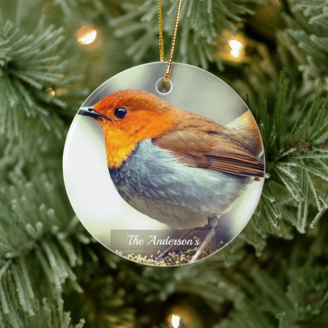 Personalisiertes Custom Robin Bird-Foto Keramik Ornament (Baum)