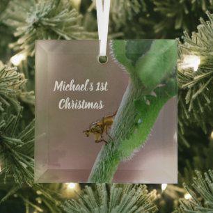 Personalisiertes Dung Fly Foto Weihnachtsbaumschmu Ornament Aus Glas