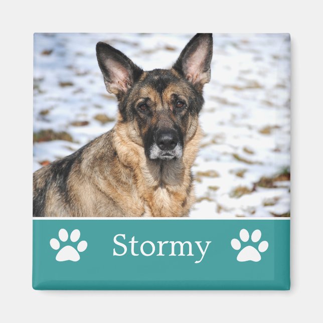 Personalisiertes Foto für Aquamarine Haustiere Magnet (Vorne)