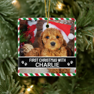 Personalisiertes Foto für den ersten Weihnachtshun Keramikornament