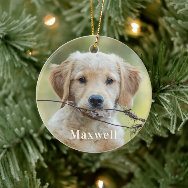 Personalisiertes Foto für Haustiere Weihnachten Keramik Ornament (Baum)