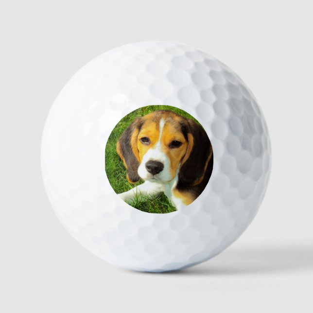 Personalisiertes Foto für Heimtiere Beagle Golfball (Vorderseite)