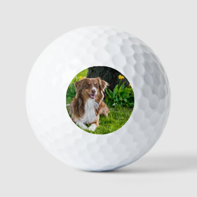 Personalisiertes Foto Golfball (Vorderseite)