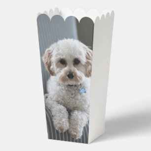 Personalisiertes Foto hergestellt Geschenkschachtel