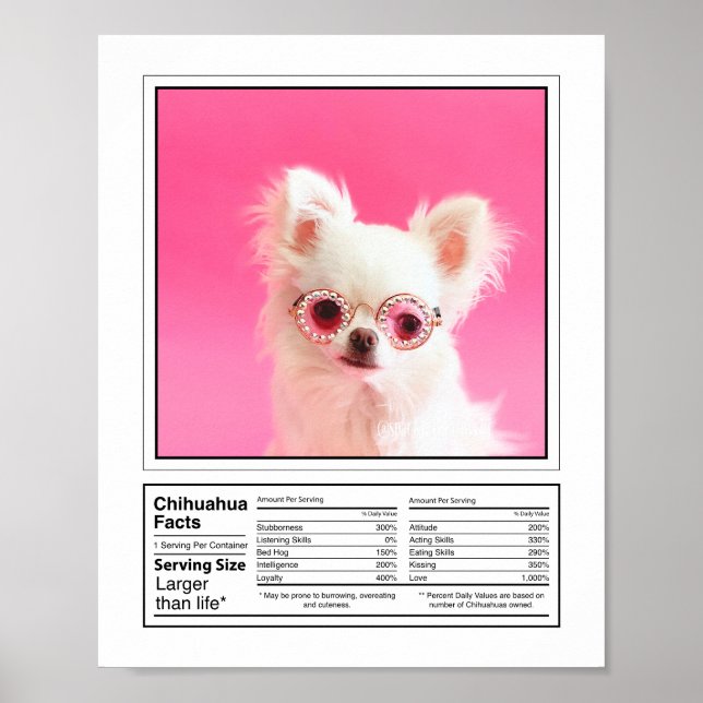 Personalisiertes Foto Hunde Zucht Fakten Chihuahua Poster (Vorne)