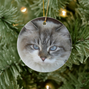 Personalisiertes Foto Katzen und Silhouette Keramik Ornament