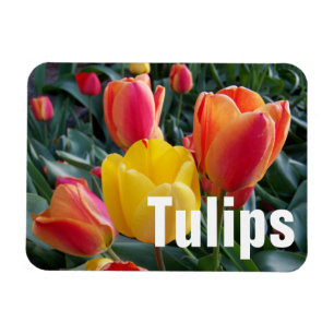 Personalisiertes Foto Magnet