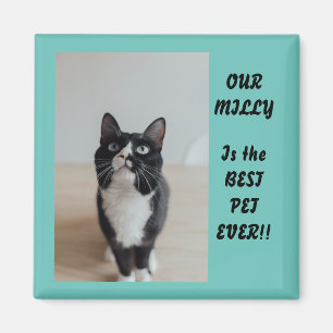 Personalisiertes Foto Magnet Bester Begleiter je