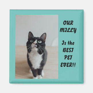 Personalisiertes Foto Magnet Bester Begleiter je