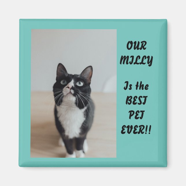 Personalisiertes Foto Magnet Bester Begleiter je (Vorne)