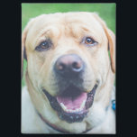 Personalisiertes Foto oder Kunst Magnet<br><div class="desc">Personalisierter Magnet von Ricaso - Fügen Sie Ihr eigenes personalisiertes Foto oder Kunstwerk hinzu,  fügen Sie Text mit dem Design-Tool,  tolle Foto-Geschenkideen und persönliche Keepsakes hinzu</div>