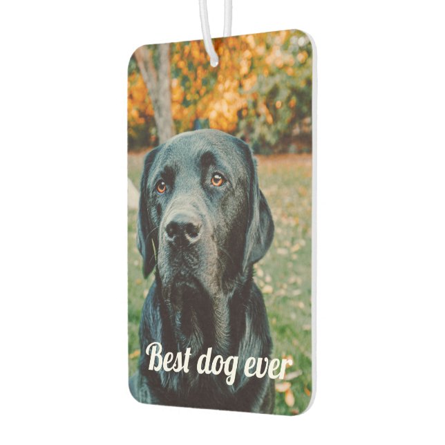 Personalisiertes Foto und  Text Autolufterfrischer (Links)