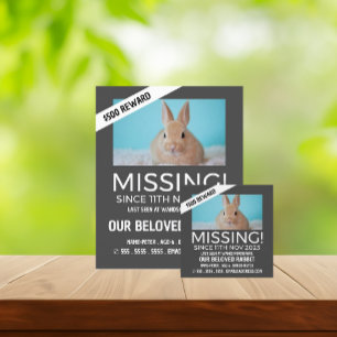 Personalisiertes Foto, Vermisst, verlorenes Hausti Flyer
