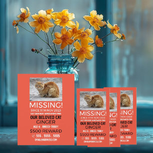 Personalisiertes Foto, Vermisst, verlorenes Hausti Flyer