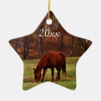 Personalisiertes Foto von Hund oder Pferd Weihnach Keramik Ornament