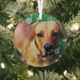 Personalisiertes Foto Weihnachtsbaum Ornament Aus Glas