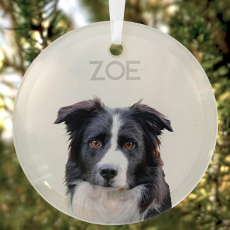 Personalisiertes Glas Weihnachtsbaum Ornament Aus Glas