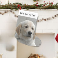 Personalisiertes Golden Retriever Hund Foto und Na