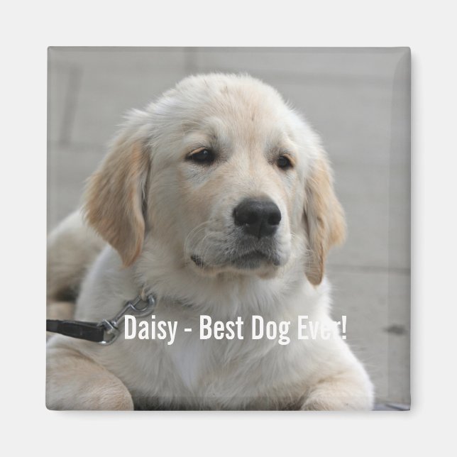 Personalisiertes Golden Retriever Hund Foto und Na Magnet (Vorne)