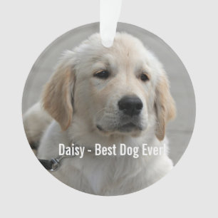 Personalisiertes Golden Retriever Hund Foto und Na Ornament