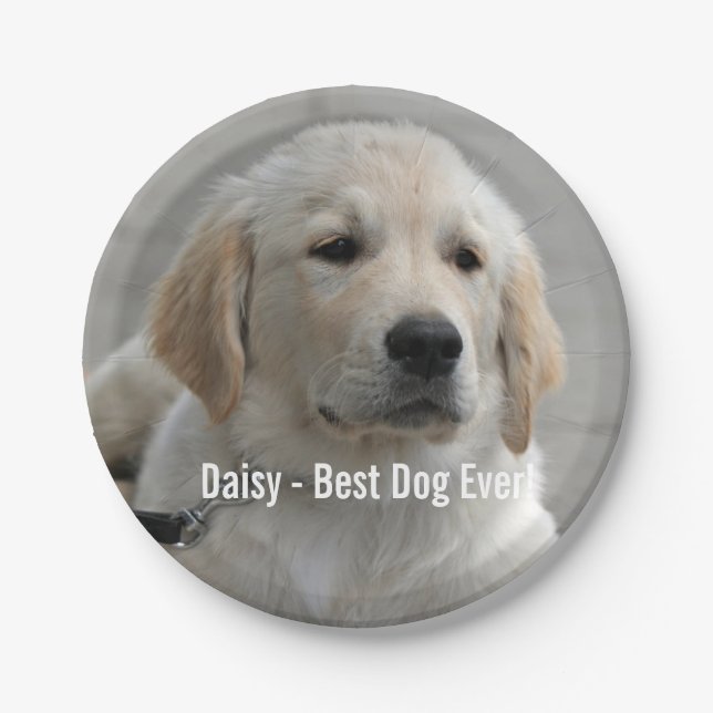 Personalisiertes Golden Retriever Hund Foto und Na Pappteller (Vorderseite)