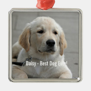 Personalisiertes Golden Retriever Hund Foto und Na Silbernes Ornament