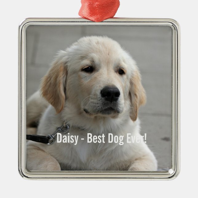 Personalisiertes Golden Retriever Hund Foto und Na Silbernes Ornament (Vorne)