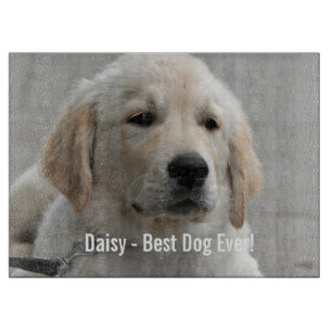 Personalisiertes goldener Retriever-HundeFoto und Schneidebrett