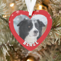 Personalisiertes Grenz Collie Weihnachtshund Haust