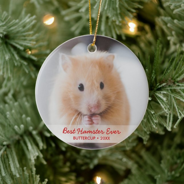 Personalisiertes Hamster Foto für Haustiere und Na Keramik Ornament (Baum)