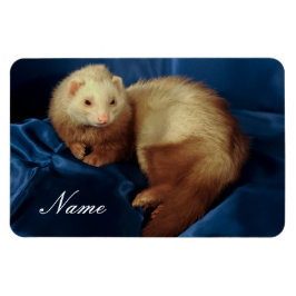 Personalisiertes Haustier Ferret Magnet