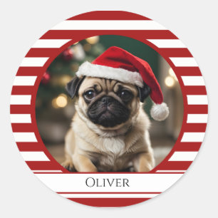 Personalisiertes Haustier Foto Candy Cane Rote Str Runder Aufkleber