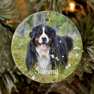 Personalisiertes Haustier Foto Hund Lover Welpen W Keramik Ornament