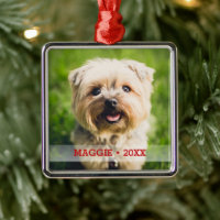 Personalisiertes Haustier Foto Niedlich Weihnachts