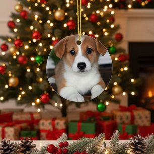 „Personalisiertes Haustier-Ornament – Foto & Name“ Keramik Ornament