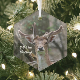 Personalisiertes Hirsch-Foto-Weihnachtsornament Ornament Aus Glas