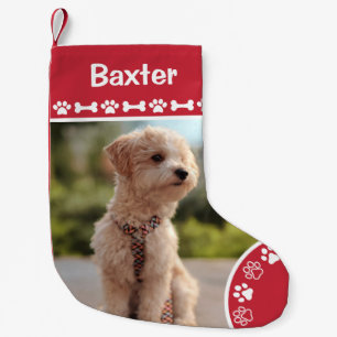 Personalisiertes Hund-Foto mit Monogramm-Namen Kleiner Weihnachtsstrumpf