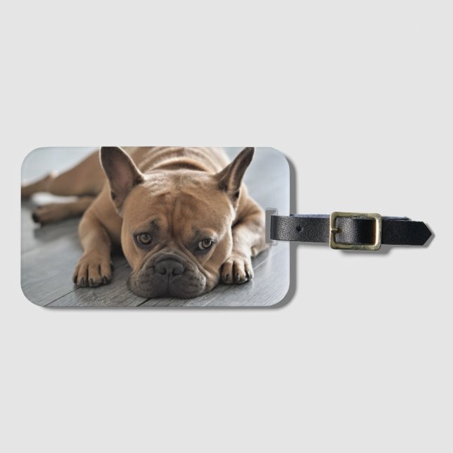 Personalisiertes Hunde-Foto Gepäckanhänger (Vorderseite (Horizontal))
