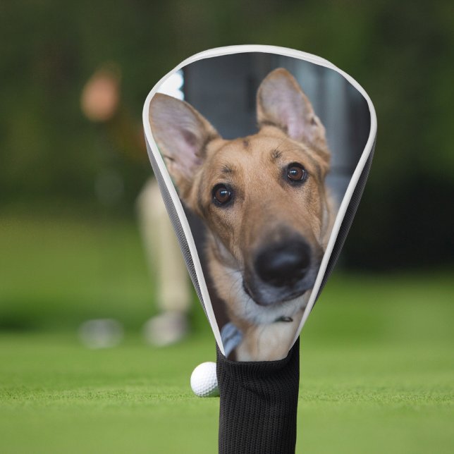 Personalisiertes Hunde-Foto Golf Headcover (Von Creator hochgeladen)