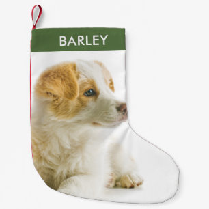 Personalisiertes Hunde-Foto Haustierbild Kleiner Weihnachtsstrumpf