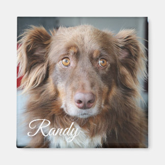 Personalisiertes Hunde-Foto und Name-Magnet Magnet