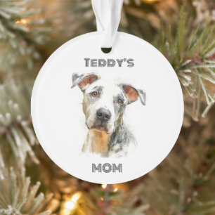 Personalisiertes Hunde-Mama-Foto-Ornament Indivi Ornament