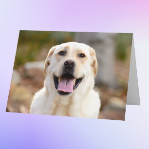 Personalisiertes Hundebüt-Foto Karte