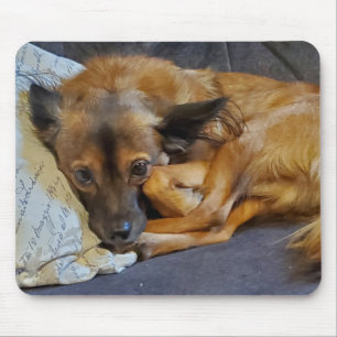 Personalisiertes Hundebüt-Foto Mousepad