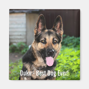 Personalisiertes Hundehund-Foto, Hundename Magnet